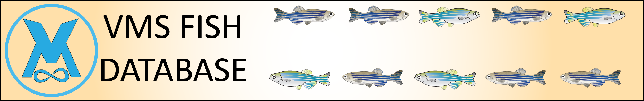 Something went wrong